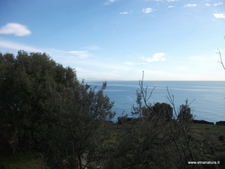 zzena-11-03-2013 08-55-13